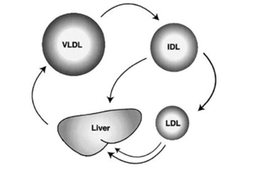 graph1