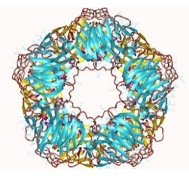 graph4