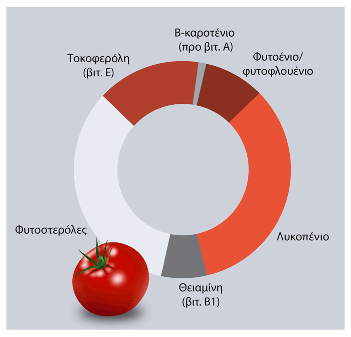 συστατικά cardiovit